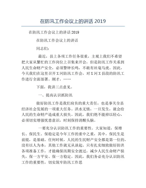 模板-在防汛工作会议上的讲话2019