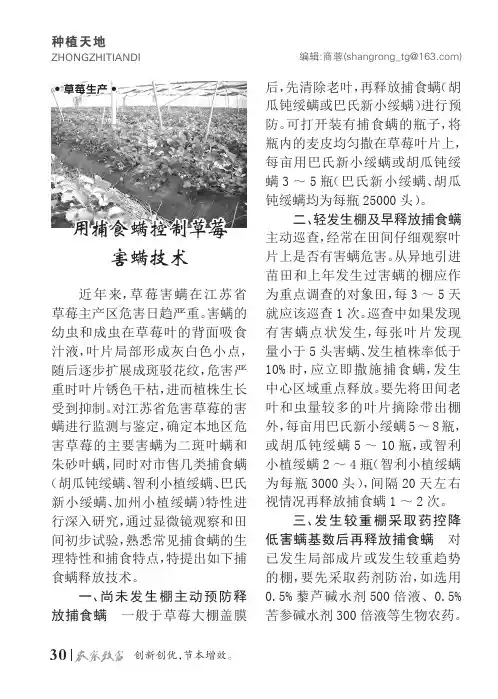 用捕食螨控制草莓害螨技术
