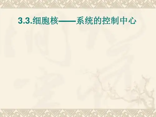 《细胞核——系统的控制中心》PPT课件33 人教课标版