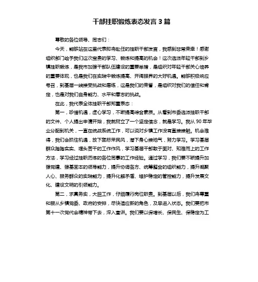 干部挂职锻炼表态发言3篇