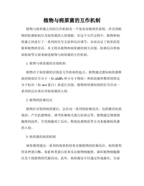 植物与病原菌的互作机制