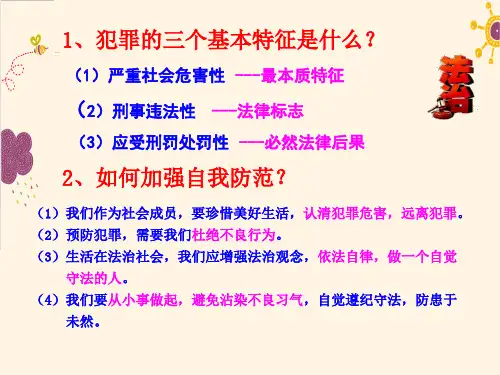 【公开课课件】5.3-善用法律