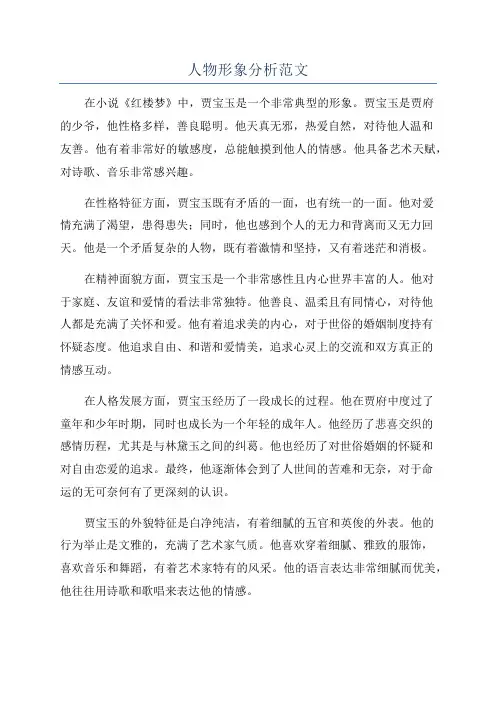人物形象分析范文