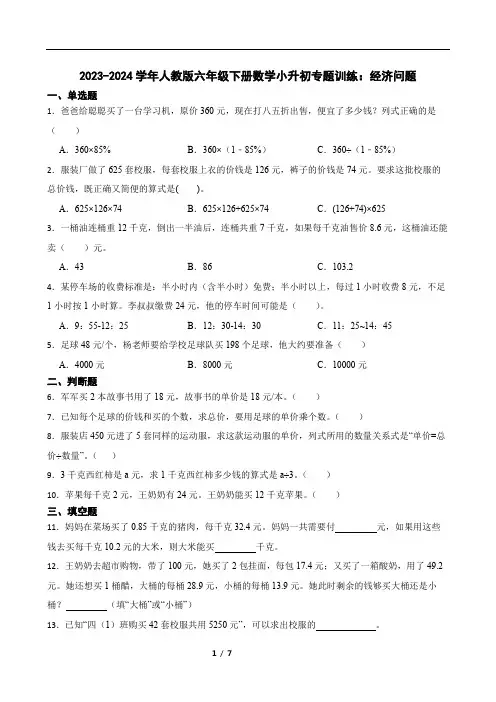 2023-2024学年人教版六年级下册数学小升初专题训练：经济问题