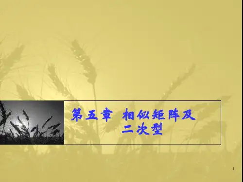 线性代数课件第4章