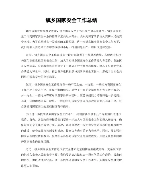 镇乡国家安全工作总结