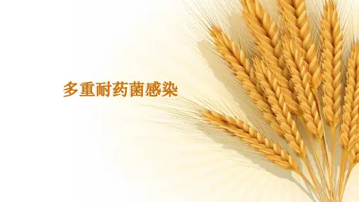 多重耐药菌感染ppt课件