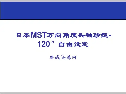 日本MST万向角度头袖珍型°自由设定
