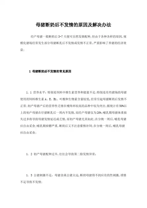 母猪断奶后不发情的原因及解决办法