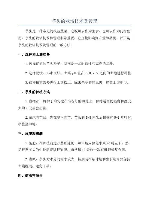 芋头的栽培技术及管理