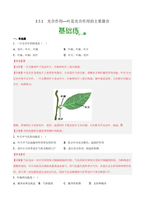 3.5.1 光合作用—叶是光合作用主要器官(分层练)-2022-2023学年七年级生物上册备课无忧 