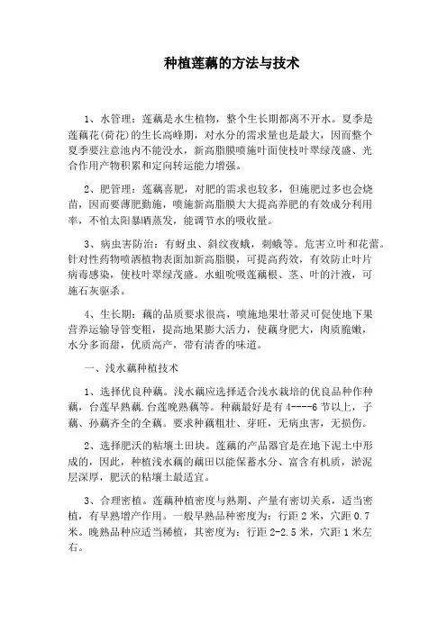 种植莲藕的方法与技术