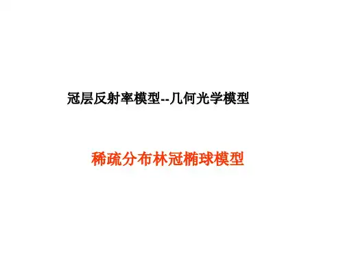 (定量遥感课件几何光学模型