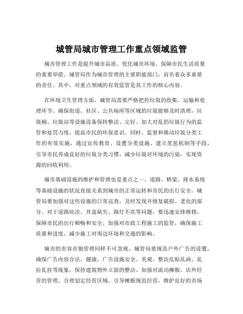 城管局城市管理工作重点领域监管