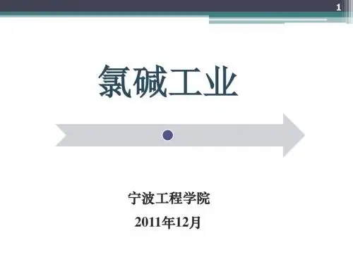 氯碱工艺资料