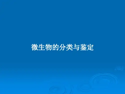 微生物的分类与鉴定PPT教案