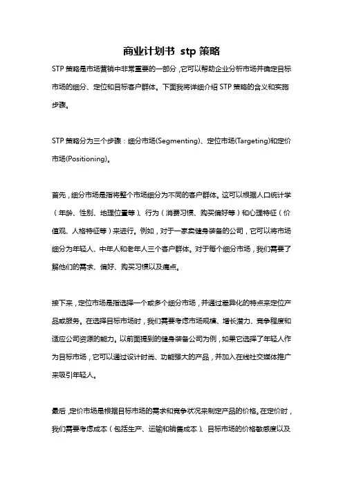 商业计划书 stp策略