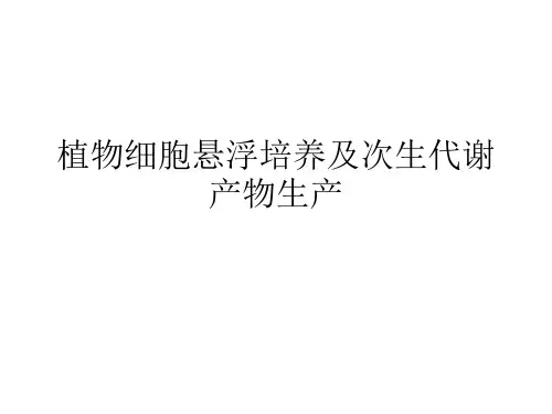 植物细胞悬浮培养及次生代谢产物生产