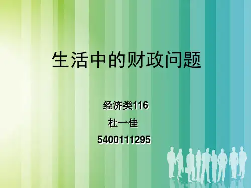 生活中的财政问题