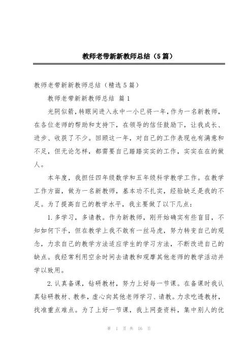 教师老带新新教师总结(5篇)