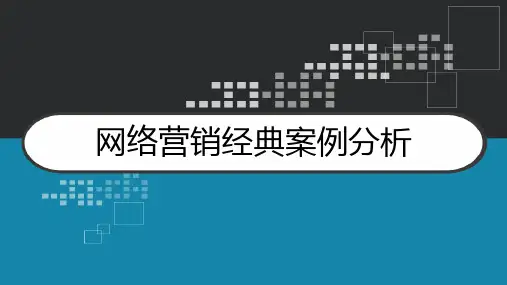 网络营销经典案例分析 PPT