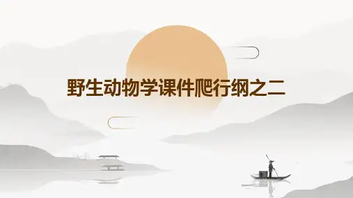 野生动物学课件爬行纲之二