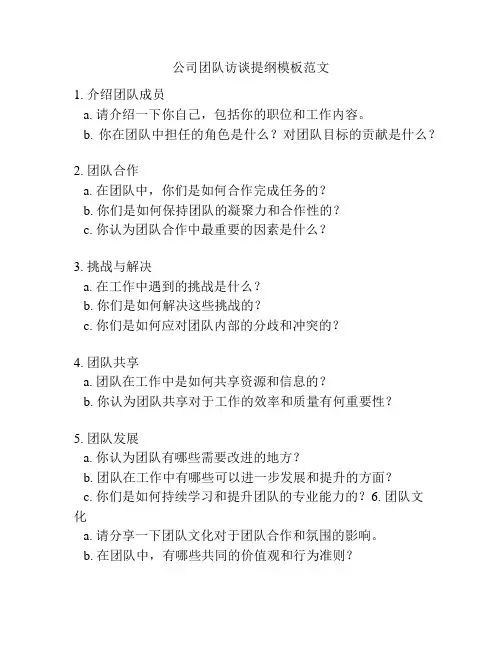 公司团队访谈提纲模板范文