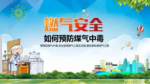预防煤气中毒 ppt课件 (7)