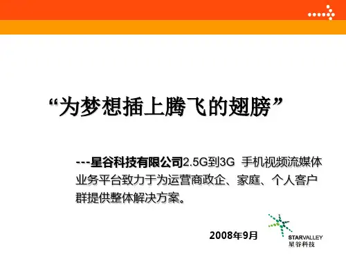 运营商合作方案建议书