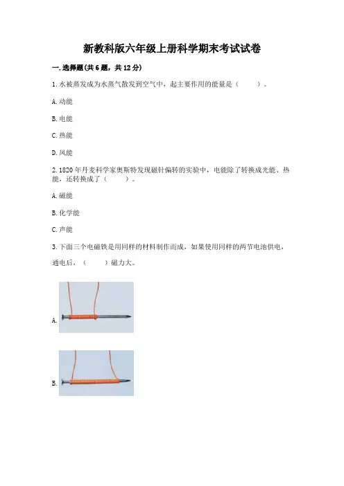 新教科版六年级上册科学期末考试试卷(含答案)