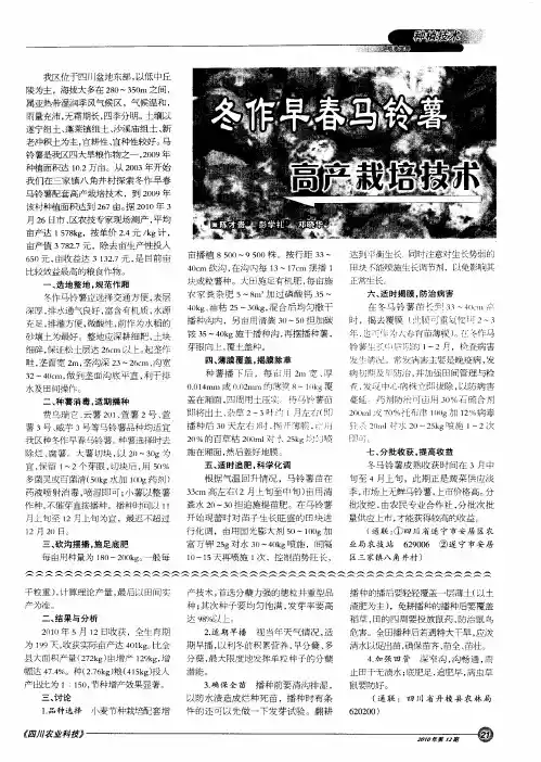 冬作早春马铃薯高产栽培技术