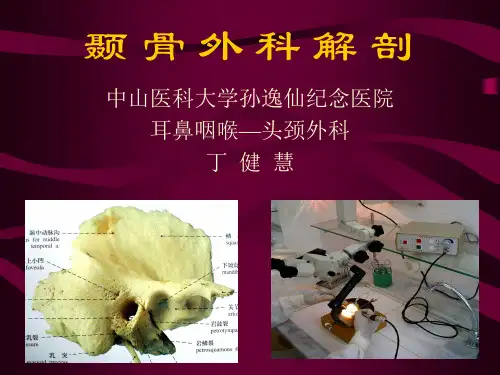耳科医学课件：颞骨外科解剖