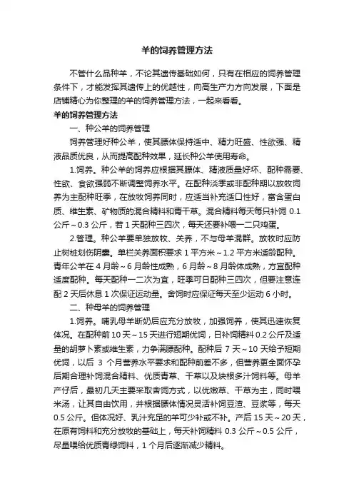 羊的饲养管理方法