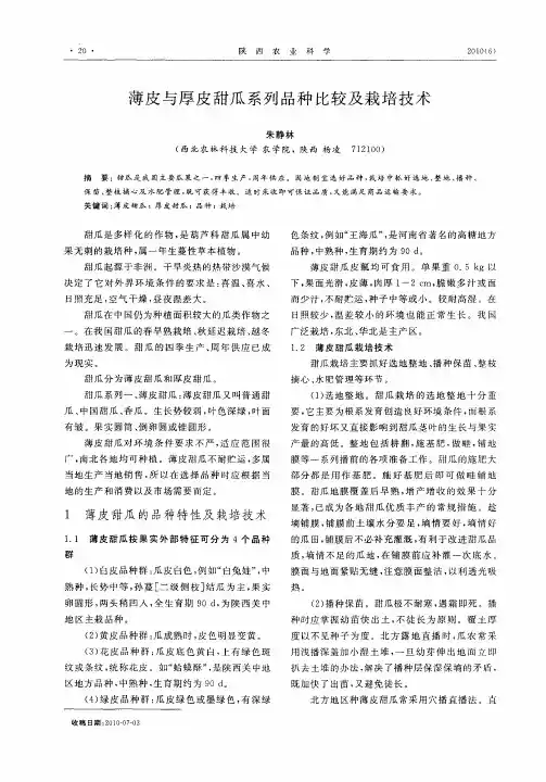 薄皮与厚皮甜瓜系列品种比较及栽培技术