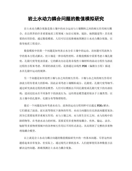 岩土水动力耦合问题的数值模拟研究