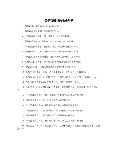 关于芍药花的唯美句子
