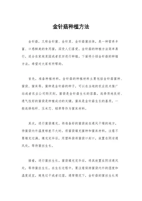 金针菇种植方法