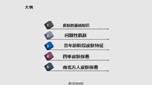 皮肤美容知识PPT课件