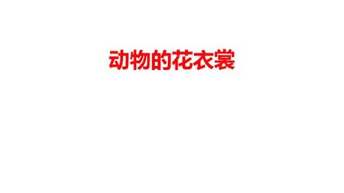 小学三年级美术下册  第11课《 动物的花衣裳》课件