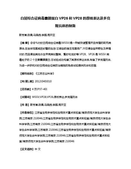 白斑综合征病毒囊膜蛋白VP26和VP28的原核表达及多克隆抗体的制备