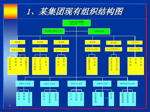 某集团组织结构研究PPT课件