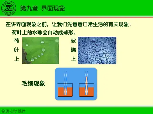 第九章  界面现象.