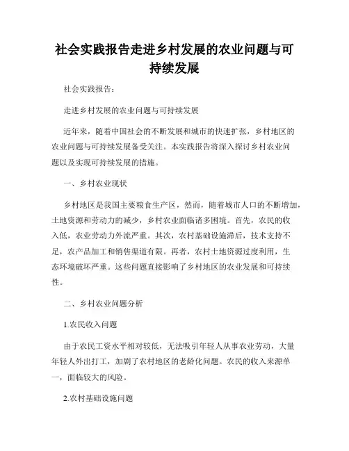 社会实践报告走进乡村发展的农业问题与可持续发展