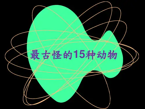 最古怪的15种动物