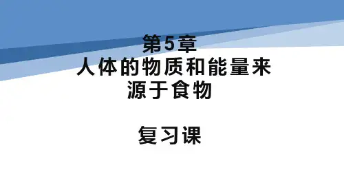 第5章 人体的物质和能量来源于食物(复习课件)-生物期末复习系列(苏科版七年级上册)