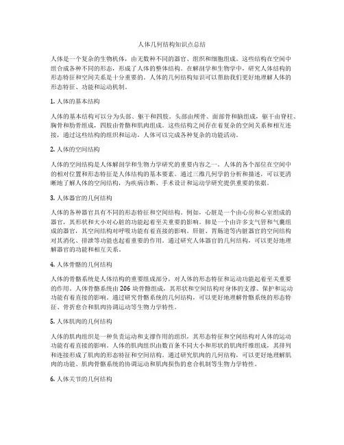 人体几何结构知识点总结