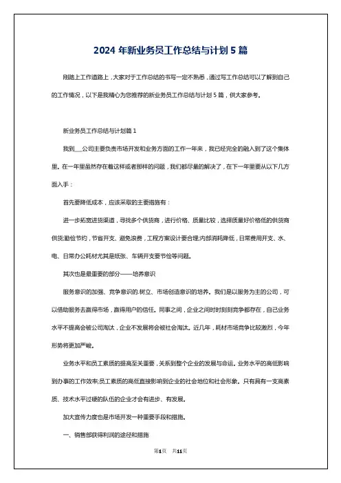 2024年新业务员工作总结与计划5篇