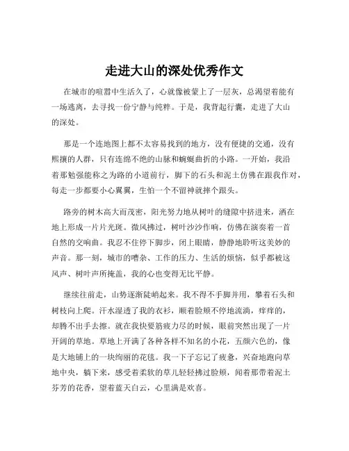 走进大山的深处优秀作文