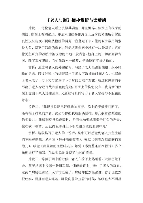 《老人与海》摘抄赏析与读后感3000字