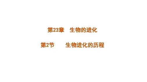 苏科版初中生物八年级下册 7.23.2 生物进化的历程 课件(共44张PPT)